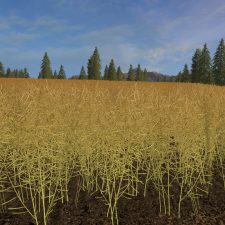 Landwirtschafts Simulator 17