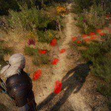 The Witcher 3: Wild Hunt