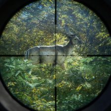 theHunter: Call of the Wild