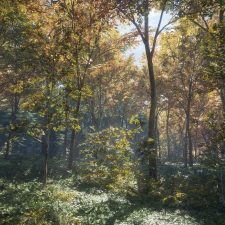 theHunter: Call of the Wild