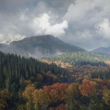 theHunter: Call of the Wild