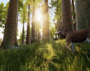 Hunting Simulator – Verfügbare Waffen und Ausrüstungen im Video