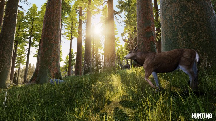 Hunting Simulator – Erster Trailer ist erschienen