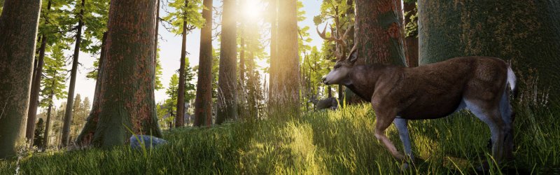 Hunting Simulator – Verfügbare Waffen und Ausrüstungen im Video