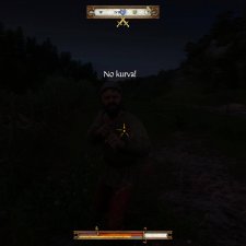 Kingdom Come: Deliverance