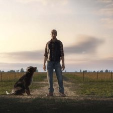 Landwirtschafts Simulator 19