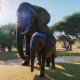 Planet Zoo – Neues Gameplay zum Savannen-Bion veröffentlicht