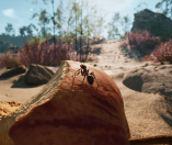 Empire of the Ants
