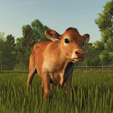 Landwirtschafts Simulator 25