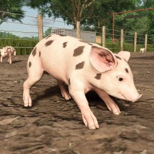 Landwirtschafts Simulator 25