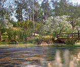 Ranger’s Path: A National Park Simulator