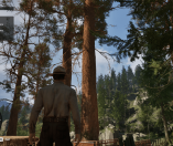 Ranger’s Path: National Park Simulator